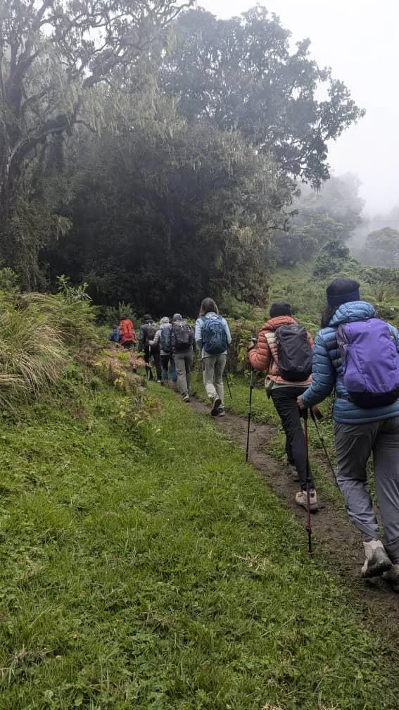 Mount Kilimanjaro trekking landscape